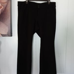 Torrid Dress pants